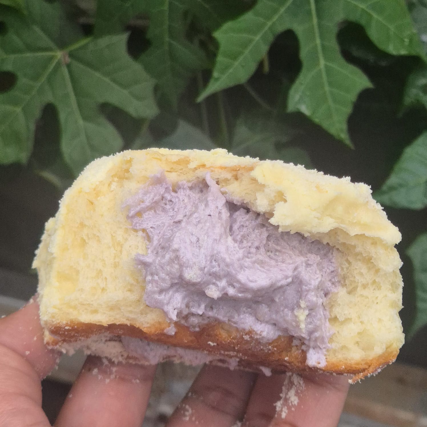 Milk Bun Taro Roti Susu Lembut Khas Thailand