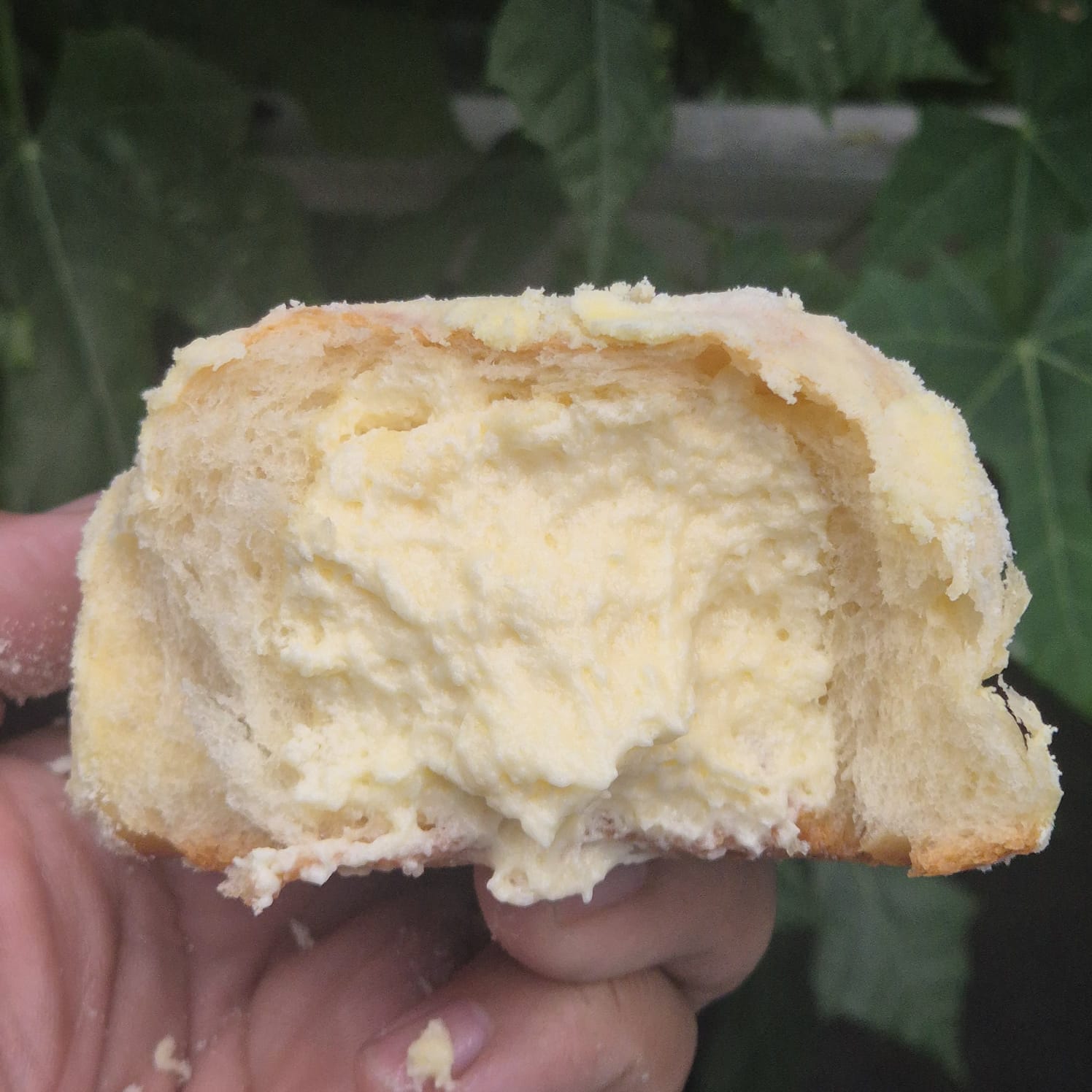 Milk Bun Keju Roti Susu Lembut Khas Thailand