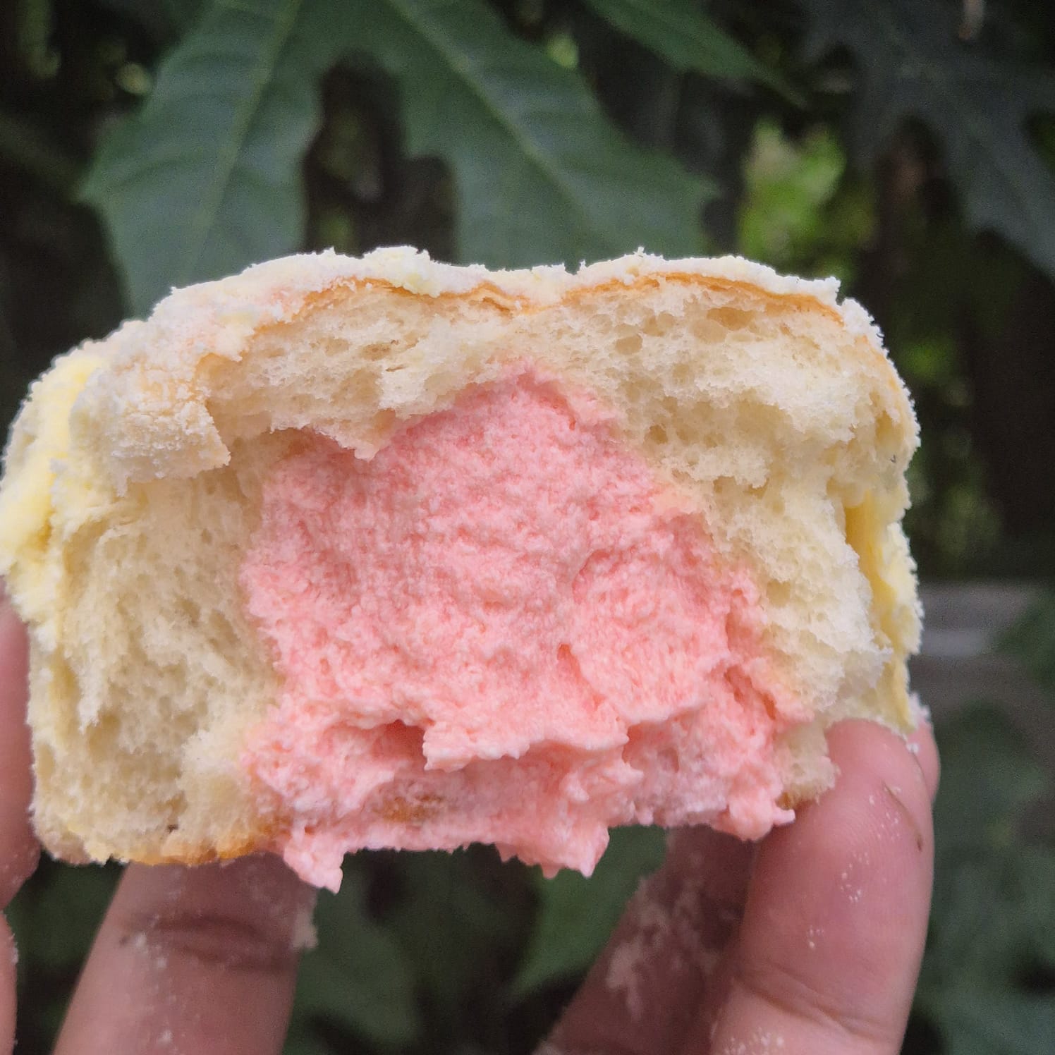 Milk Bun Strawberry Roti Susu Lembut Khas Thailand