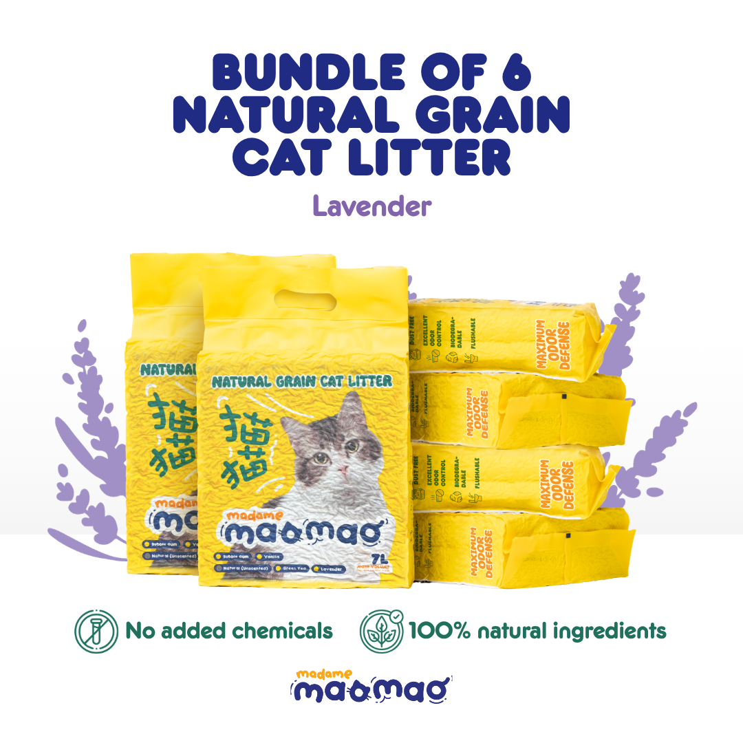 Media 8